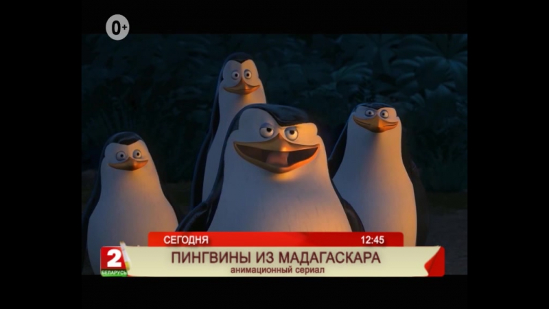 Пингвины из Мадагаскара