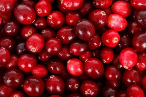 Житель томского села сядет в тюрьму за кражу 8 кг клюквы ради спиртного Житель томского села сядет в тюрьму за кражу 8 кг клюквы ради спиртного