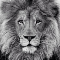 Сергей Иванов