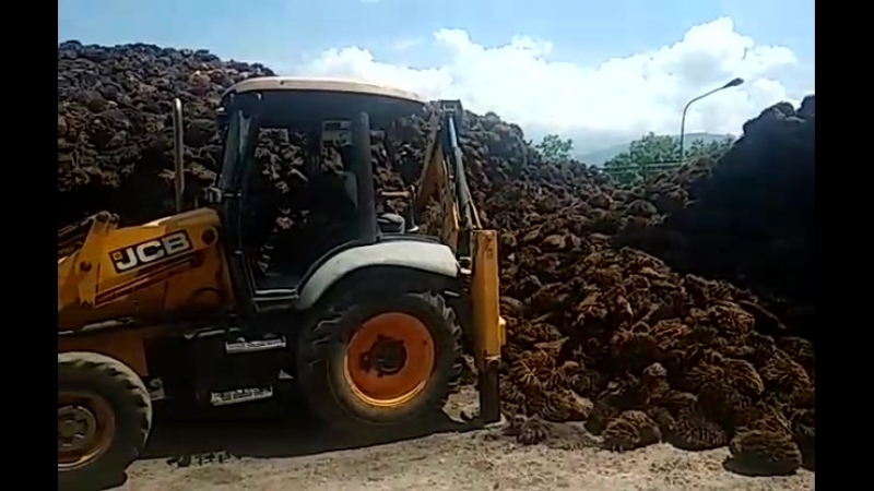 Dijual backhoe loader jcb