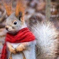 Марина Юданова | 