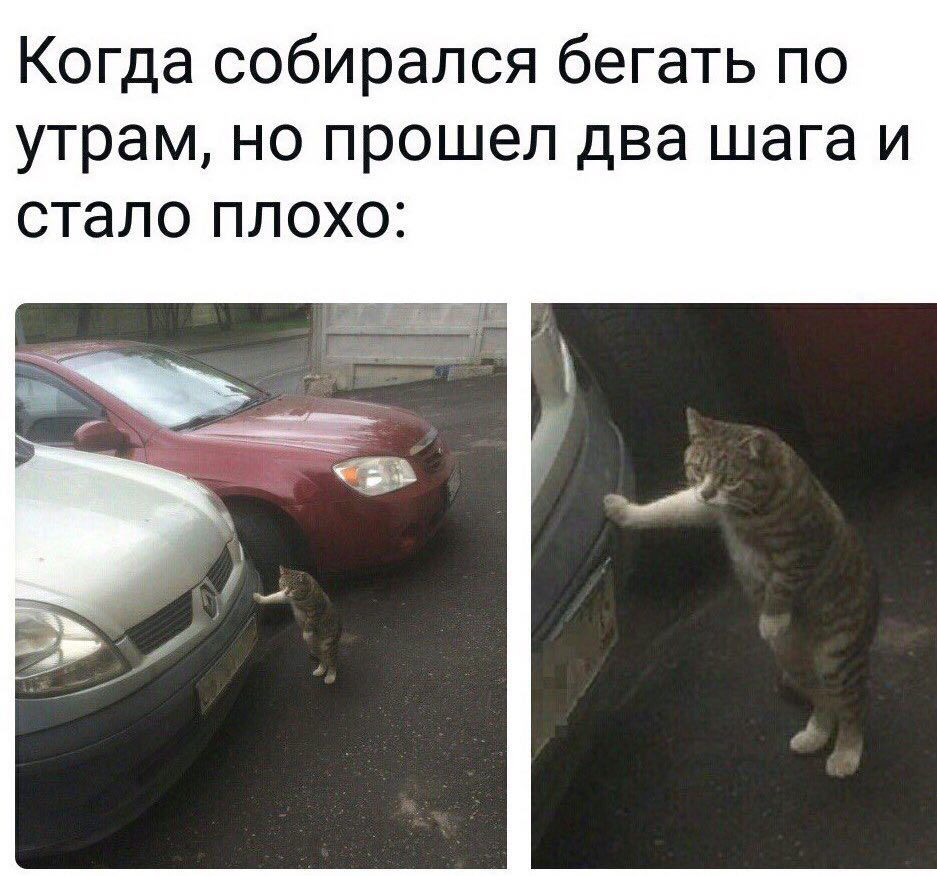 R1LuPBQGmJM.jpg