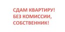 Объявление от Анастасия - фото №1