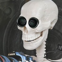 Денис Бойцов |