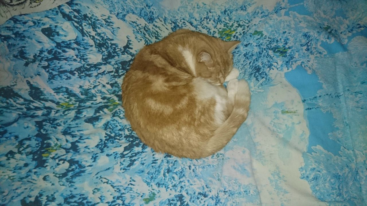 Кафе  "У пани Сони"