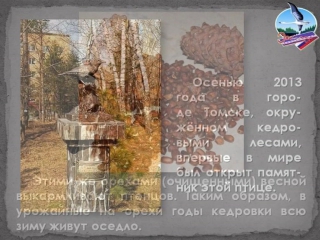 Выпуск 24_Кедровка