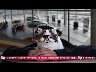 News Mews #1. Биткоин, Iphone X и Lada Granta