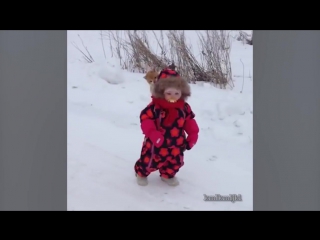 Кот рестлера