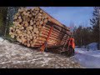 Best Logging Truck Drivers Skill With Dangerous Extreme Fields (Part 5)