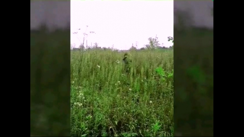 вайперхуд(v.0.1)