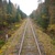 Фото пользователя Лена