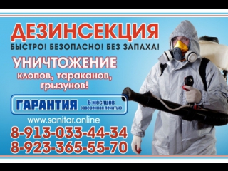Уничтожения клопов тараканов муравьев блох