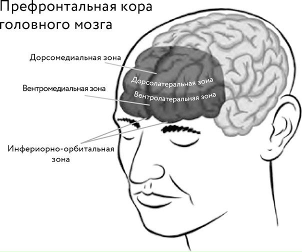 Особая активизация мозга - отличный способ побороть тревожность 