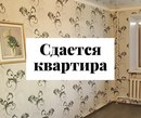 Объявление от Гульфия - фото №1
