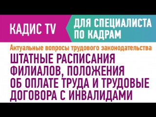 Штатные расписания филиалов, положения об оплате труда и трудовые договора с инвалидами