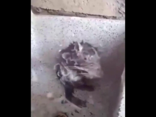 Cahit.ozdemirrBf5gGVenDAq.mp4