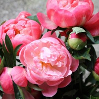 Екатерина Мальцева | Москва