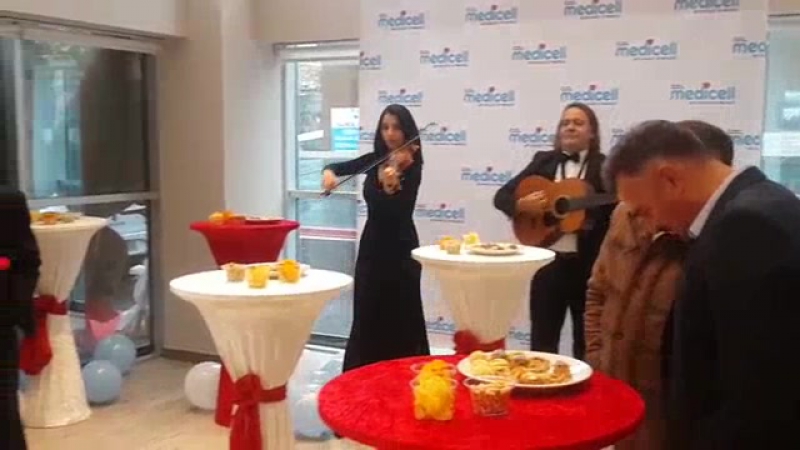 Kokleyl organizasyonu