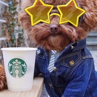 Игорь Коровин  Владимирович