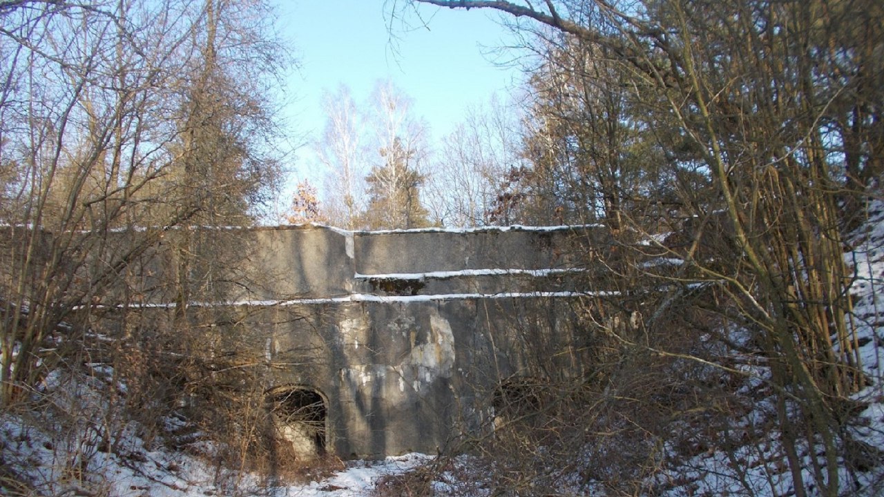 https://pp.userapi.com/c841421/v841421391/d738/PP55kAWR9cA.jpg