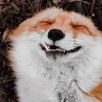 Любовь Романова