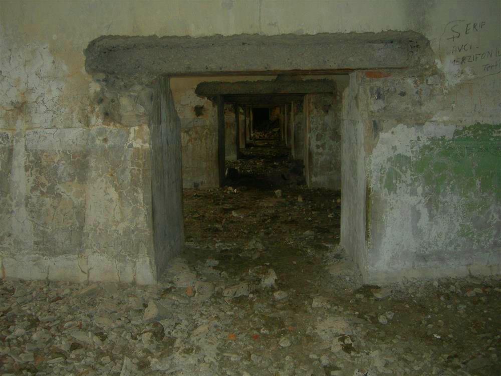 https://pp.userapi.com/c841422/v841422500/c4a3/uyVBTMRialk.jpg