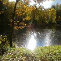 Вита Никитина