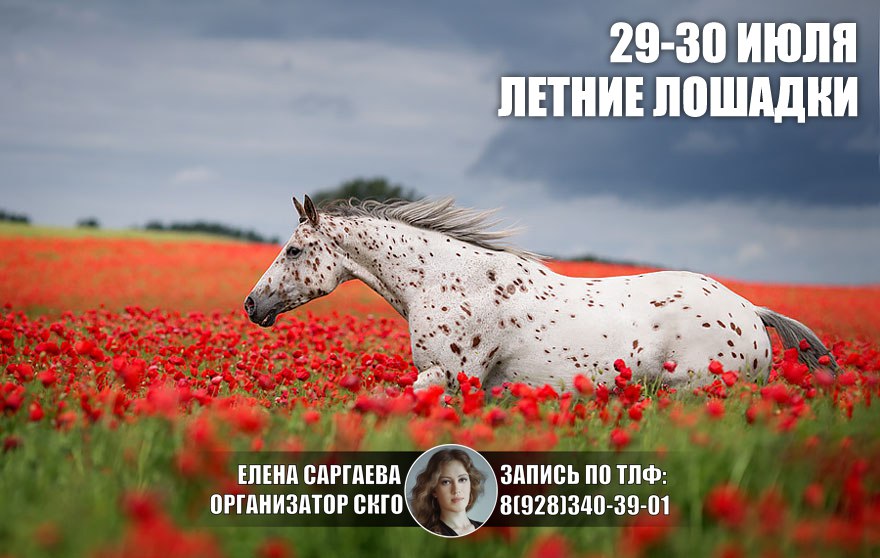 Афиша Пятигорск Летние лошадки