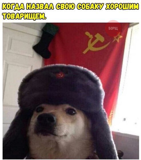 угарные фоточки