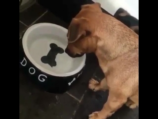 Так блэт