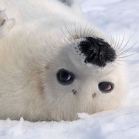 Юля Зубкина-Юферева