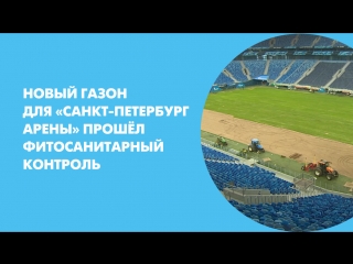Новый газон для «Санкт-Петербург Арены» успешно прошёл фитосанитарный контроль