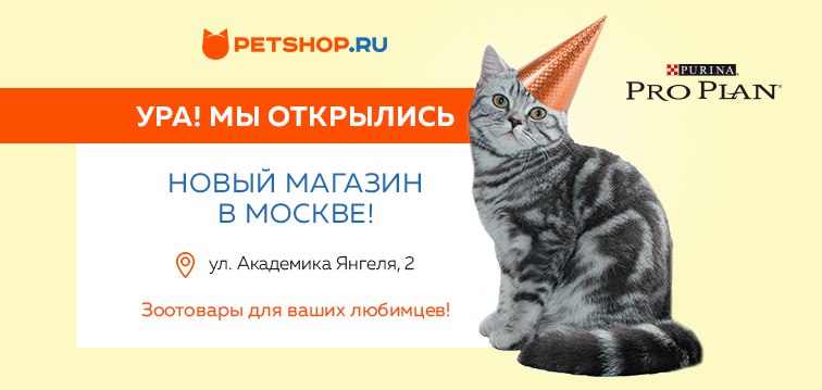 Petshop Ru Интернет Магазин Мурманск