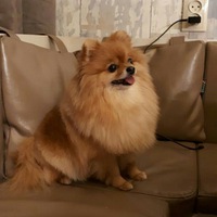 Алена Прокофьева