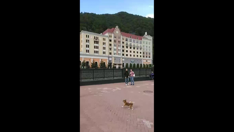 сочи ,роза хутр