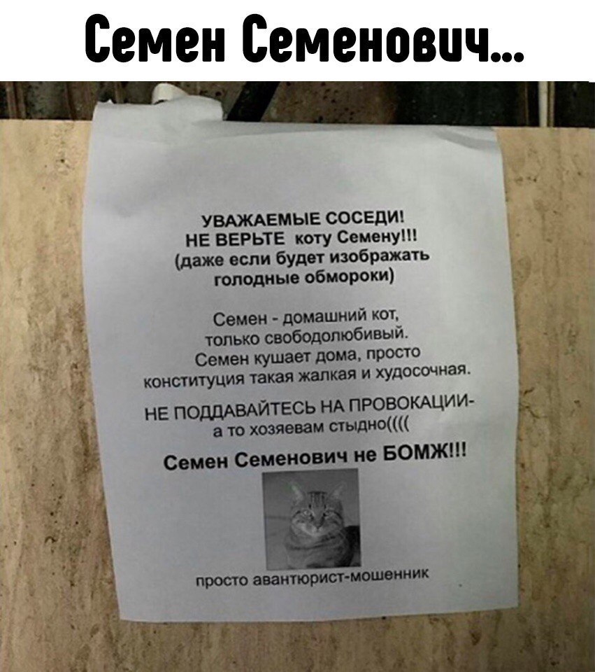 VLNLEkpMQCc.jpg