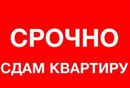 Объявление от Алёна - фото №1