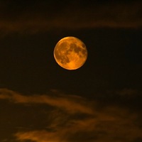 Андрей Серов | Нижний Новгород