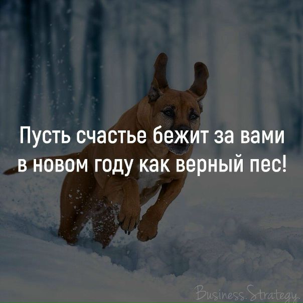 Срочно<br>В большую 1 комнатную квартиру подселю, одного человека, не важно, девушку или молодого человека.Главное адекватного, платежеспособного. <br>Территориально Метро Дмитрия Донского и 20 мин на автобусе до дома <br>По деньгам12500 руб (включая ком.услуги и интернет)<br>Есть все для комфортного проживания.<br>Фото скину в личку. - фото Фото: Срочно<br>В большую 1 комнатную квартиру подселю, одного человека, не важно, девушку или молодого человека.Главное адекватного, платежеспособного. <br>Территориально Метро Дмитрия Донского и 20 мин на автобусе до дома <br>По деньгам12500 руб (включая ком.услуги и интернет)<br>Есть все для комфортного проживания.<br>Фото скину в личку.