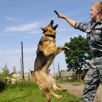 Романыч Логинов