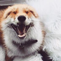 Татьяна Ражева-Норина