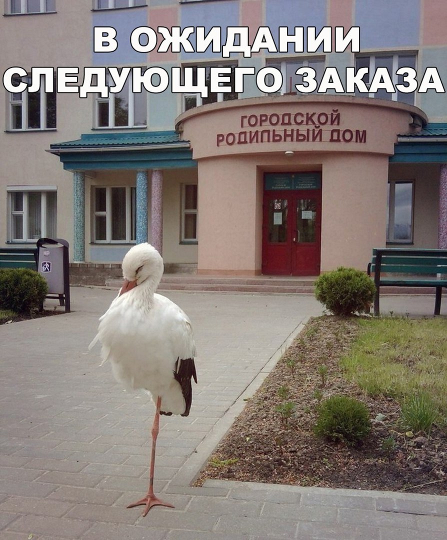 В ожидании следующего заказа