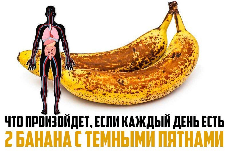 https://pp.userapi.com/c841431/v841431721/cfc/t_vNZ6vo6UA.jpg