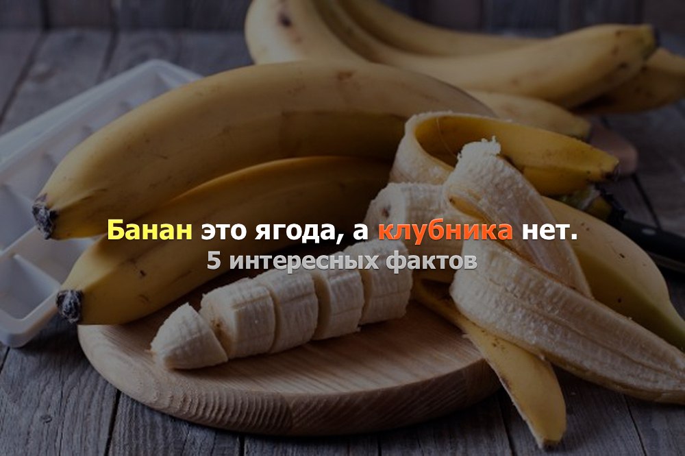 Кафе  "У пани Сони"