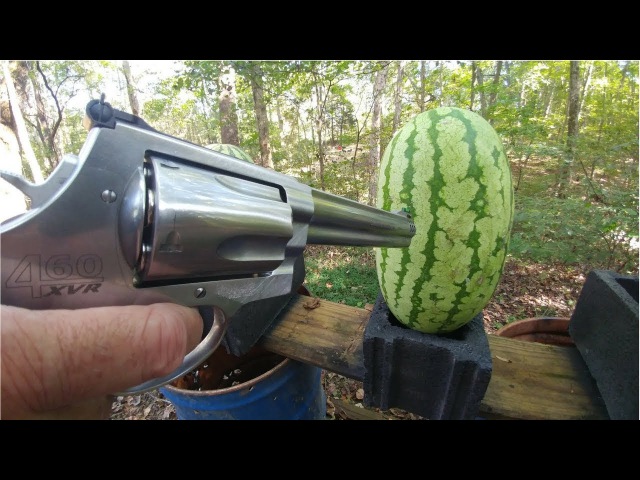 460 Magnum vs Watermelons