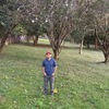 id326548534