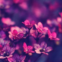 Анна Пугачёва | Екатеринбург