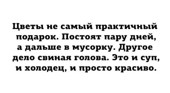 8ySHNa04nbw.jpg