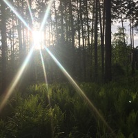 Evgenia Reshetnikova