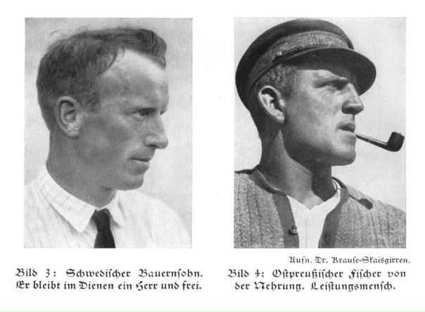 Нордическая раса карта